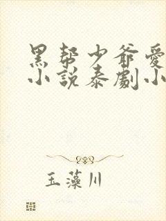 黑帮少爷爱上我小说泰剧小说