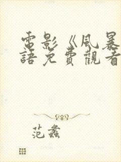 电影《风暴》国语免费观看