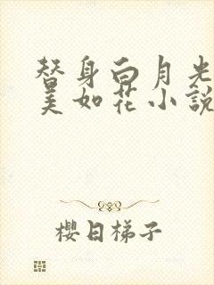 替身白月光她貌美如花小说