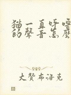 猫一直呼噜呼噜的声音怎么回事