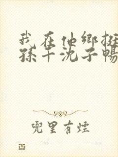 我在他乡挺好的孙千沈子畅结局封面