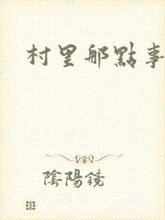 村里那点事儿封面