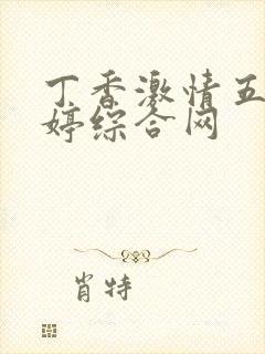丁香激情五月婷婷综合网