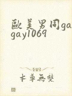 欧美男同gaygay1069