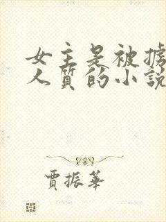 女主是被掳来的人质的小说