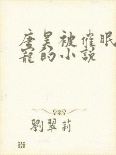 唐昊被催眠成男宠的小说