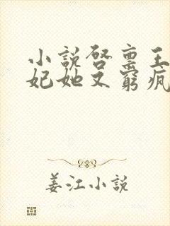 小说启禀王爷王妃她又穷疯了封面