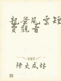 龙爸风云短剧免费观看