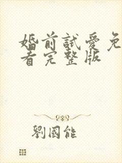 婚前试爱免费观看完整版封面