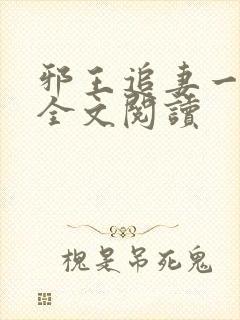 邪王追妻一百式全文阅读