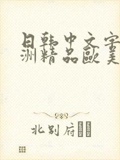 日韩中文字幕亚洲精品欧美