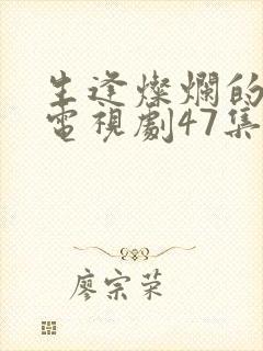 生逢灿烂的日子电视剧47集免费观看