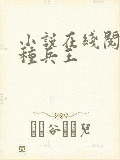 小说在线阅读特种兵王