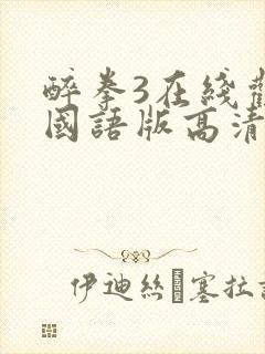 醉拳3在线观看国语版高清