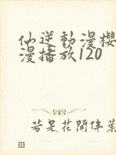 仙逆动漫樱花动漫播放120