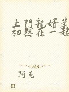 上门龙婿叶辰萧初然在一起了吗