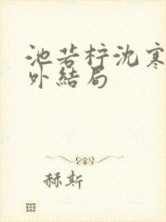 池若柠沈寒声番外结局