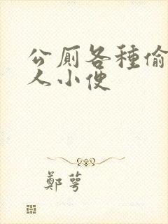 公厕各种偷拍女人小便