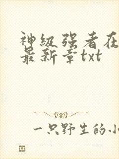 神级强者在都市最新章txt