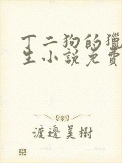 丁二狗的猎艳人生小说免费全文下载封面