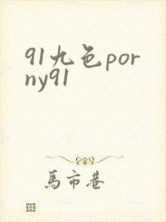 91九色porny91