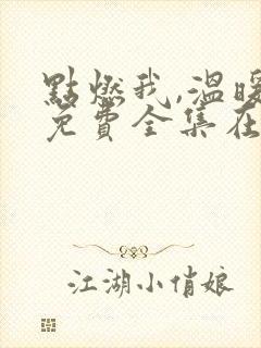 点燃我,温暖你免费全集在线观看