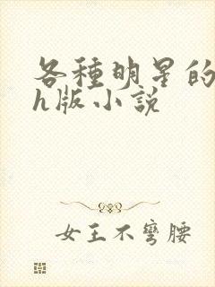 各种明星的综艺h版小说