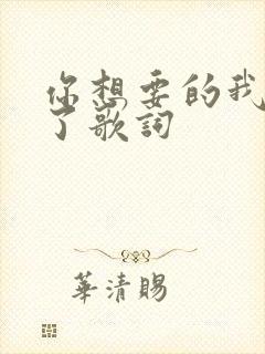 你想要的我给不了歌词