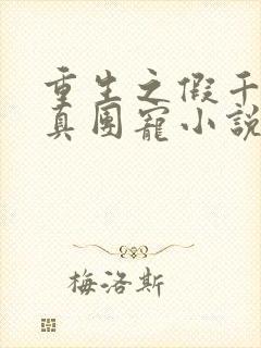 重生之假千金是真团宠小说