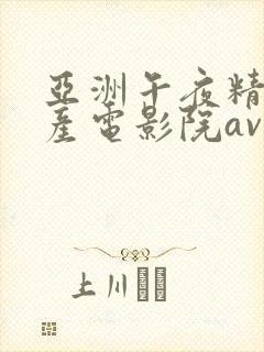 亚洲午夜精品国产电影院av封面