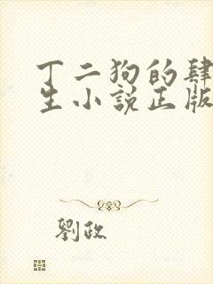丁二狗的肆意人生小说正版