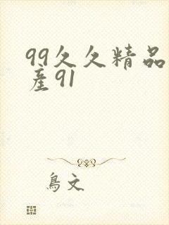 99久久精品国产91
