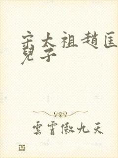 宋太祖赵匡胤的儿子封面