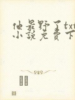 他最野了txt小说免费下载