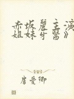 赤坂丽主演的《姐妹牙医》