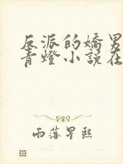 反派的娇男by青灯小说在线阅读