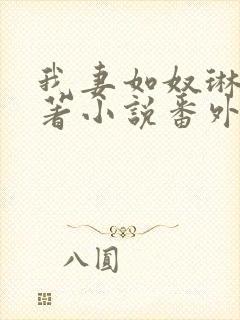 我妻如奴琳涛原著小说番外封面