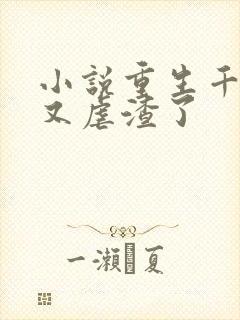 小说重生千金她又虐渣了