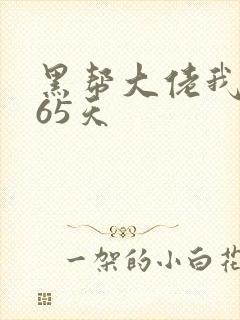 黑帮大佬我的365天