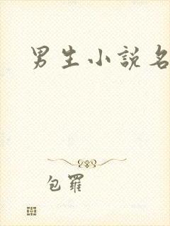 男生小说名字