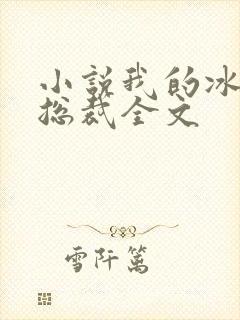 小说我的冰山女总裁全文