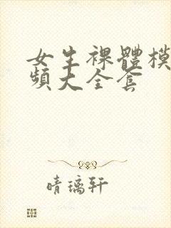 女生裸体模特视频大全套封面