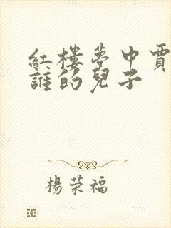 红楼梦中贾珠是谁的儿子