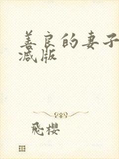 善良的妻子无删减版