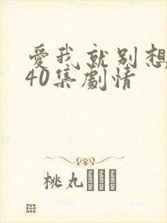 爱我就别想太多40集剧情