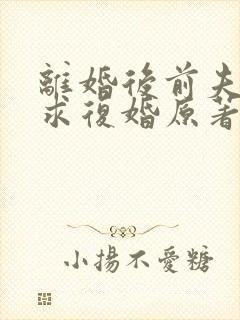 离婚后前夫哭着求复婚原著