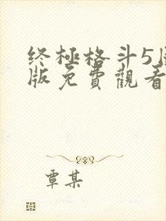 终极格斗5国语版免费观看封面