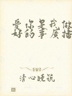 爱你是我做过最好的事广播剧