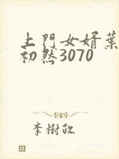 上门女婿叶辰萧初然3070