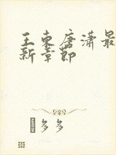 王东唐潇最新更新章节封面